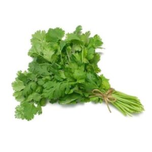 Coriander Leaves